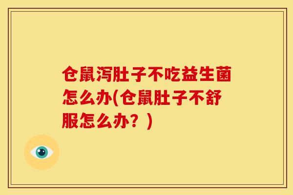 仓鼠泻肚子不吃益生菌怎么办(仓鼠肚子不舒服怎么办？)