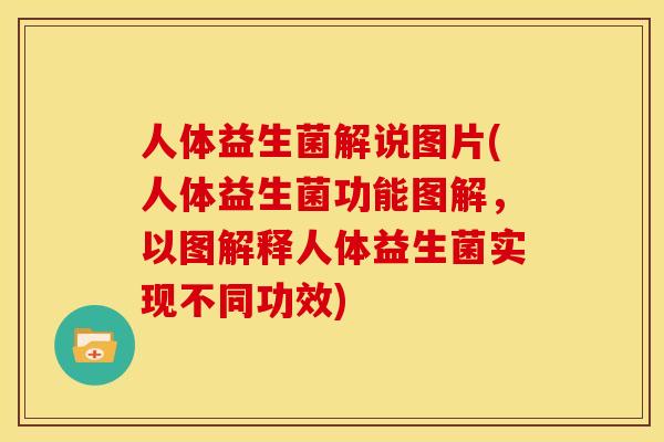 人体益生菌解说图片(人体益生菌功能图解，以图解释人体益生菌实现不同功效)