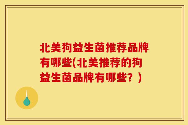 北美狗益生菌推荐品牌有哪些(北美推荐的狗益生菌品牌有哪些？)