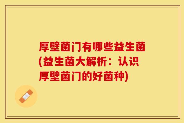 厚壁菌门有哪些益生菌(益生菌大解析：认识厚壁菌门的好菌种)