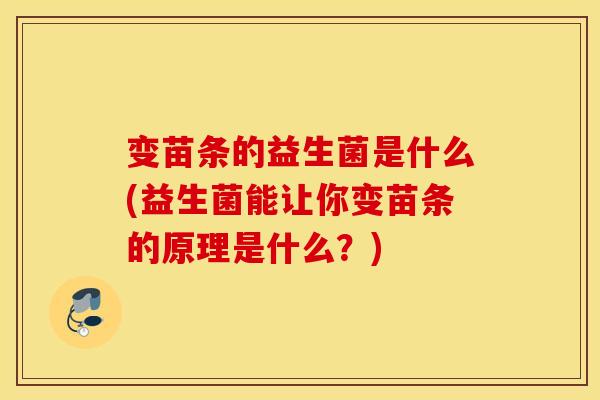 变苗条的益生菌是什么(益生菌能让你变苗条的原理是什么？)