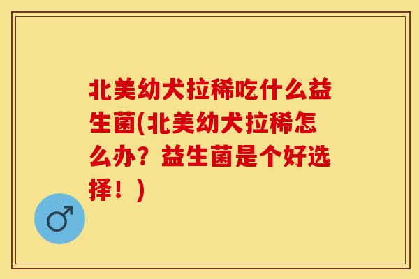 北美幼犬拉稀吃什么益生菌(北美幼犬拉稀怎么办？益生菌是个好选择！)