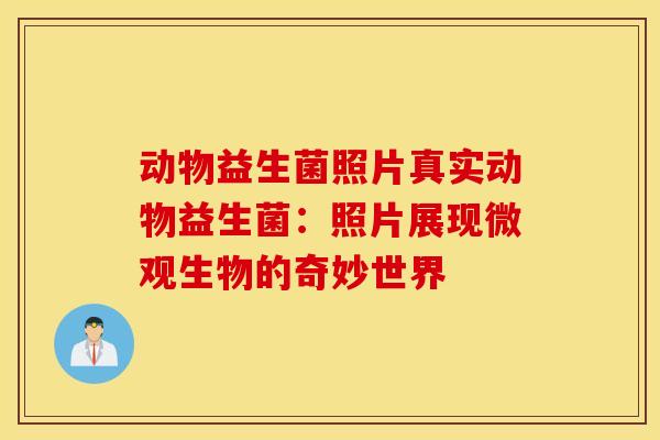 动物益生菌照片真实动物益生菌：照片展现微观生物的奇妙世界