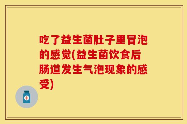 吃了益生菌肚子里冒泡的感觉(益生菌饮食后肠道发生气泡现象的感受)