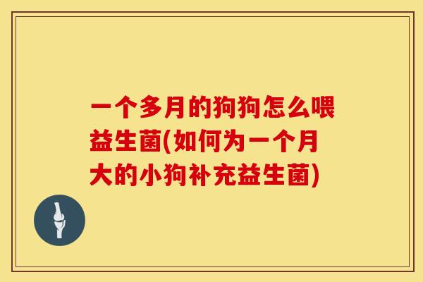 一个多月的狗狗怎么喂益生菌(如何为一个月大的小狗补充益生菌)