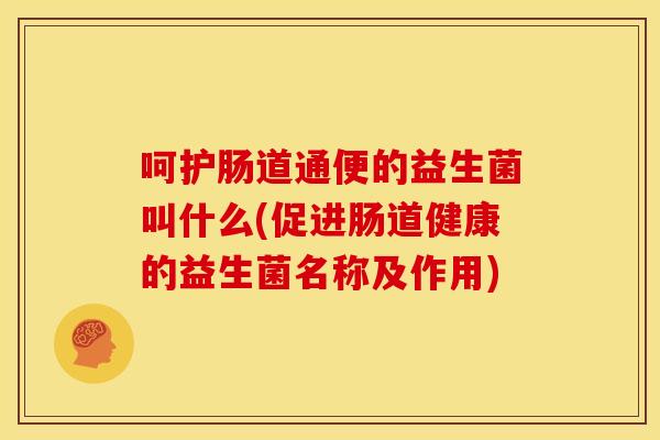 呵护肠道通便的益生菌叫什么(促进肠道健康的益生菌名称及作用)