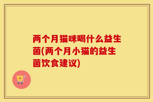 两个月猫咪喝什么益生菌(两个月小猫的益生菌饮食建议)