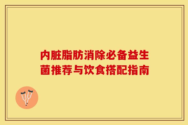 内脏脂肪消除必备益生菌推荐与饮食搭配指南