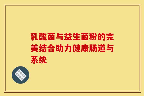 乳酸菌与益生菌粉的完美结合助力健康肠道与系统