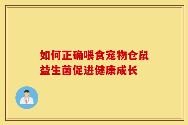 如何正确喂食宠物仓鼠益生菌促进健康成长