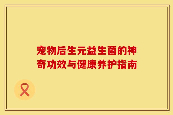 宠物后生元益生菌的神奇功效与健康养护指南