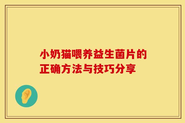 小奶猫喂养益生菌片的正确方法与技巧分享