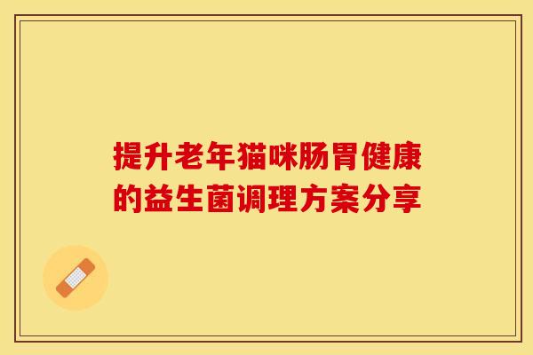 提升老年猫咪肠胃健康的益生菌调理方案分享