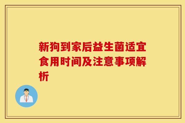 新狗到家后益生菌适宜食用时间及注意事项解析