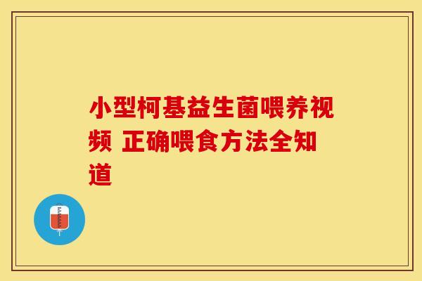 小型柯基益生菌喂养视频 正确喂食方法全知道