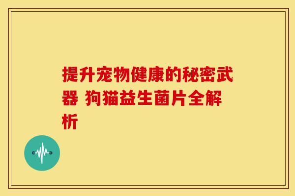 提升宠物健康的秘密武器 狗猫益生菌片全解析