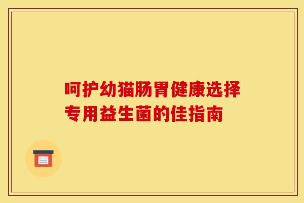 呵护幼猫肠胃健康选择专用益生菌的佳指南