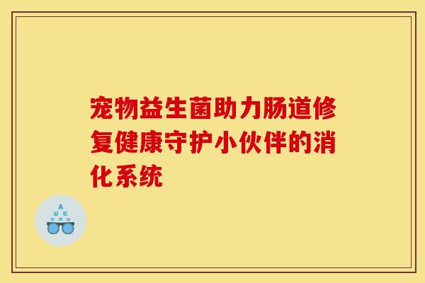 宠物益生菌助力肠道修复健康守护小伙伴的消化系统