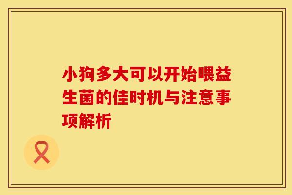 小狗多大可以开始喂益生菌的佳时机与注意事项解析