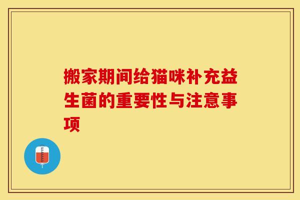 搬家期间给猫咪补充益生菌的重要性与注意事项