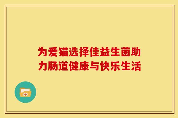 为爱猫选择佳益生菌助力肠道健康与快乐生活