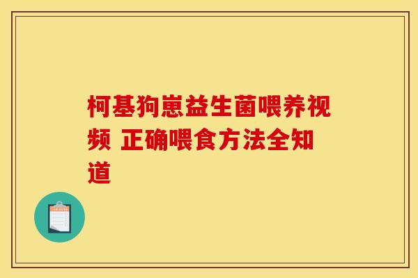 柯基狗崽益生菌喂养视频 正确喂食方法全知道