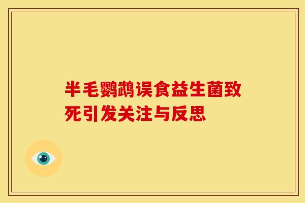 半毛鹦鹉误食益生菌致死引发关注与反思