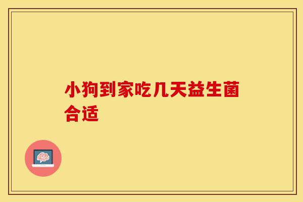 小狗到家吃几天益生菌合适