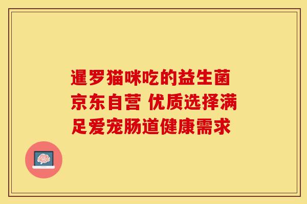 暹罗猫咪吃的益生菌 京东自营 优质选择满足爱宠肠道健康需求
