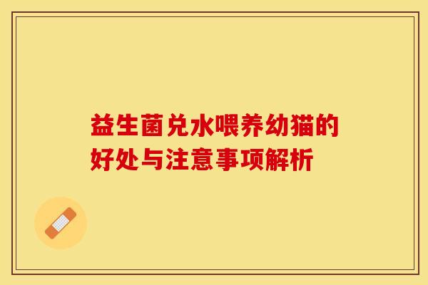 益生菌兑水喂养幼猫的好处与注意事项解析