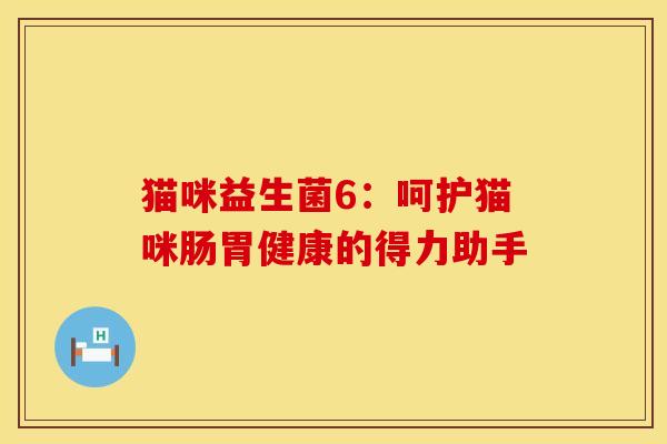 猫咪益生菌6：呵护猫咪肠胃健康的得力助手