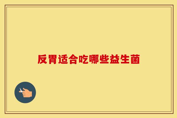反胃适合吃哪些益生菌