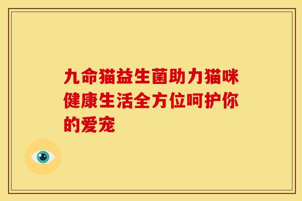 九命猫益生菌助力猫咪健康生活全方位呵护你的爱宠