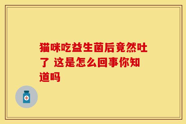 猫咪吃益生菌后竟然吐了 这是怎么回事你知道吗
