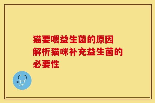猫要喂益生菌的原因 解析猫咪补充益生菌的必要性
