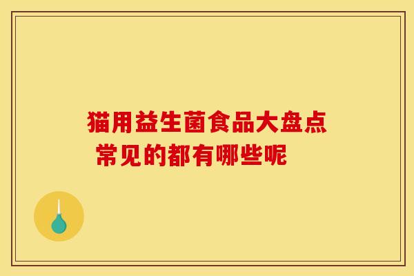 猫用益生菌食品大盘点 常见的都有哪些呢