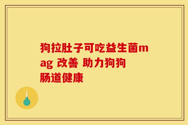 狗拉肚子可吃益生菌mag 改善 助力狗狗肠道健康