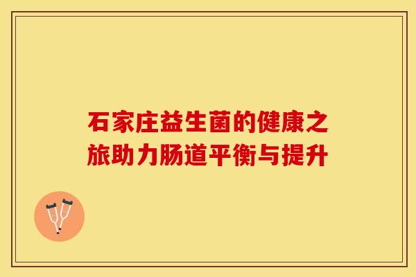 石家庄益生菌的健康之旅助力肠道平衡与提升 石家庄益生菌的健康之旅助力肠道平衡与提升