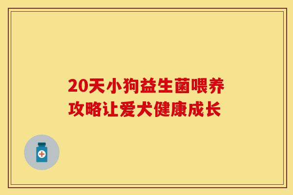 20天小狗益生菌喂养攻略让爱犬健康成长