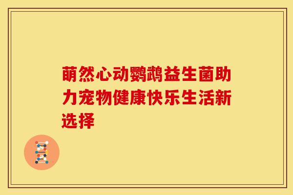 萌然心动鹦鹉益生菌助力宠物健康快乐生活新选择