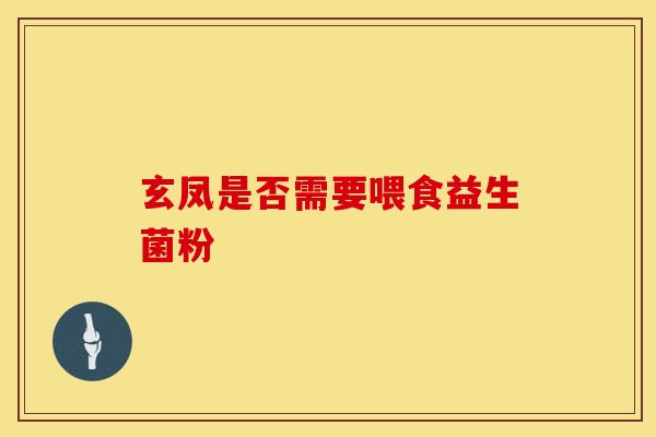 玄凤是否需要喂食益生菌粉