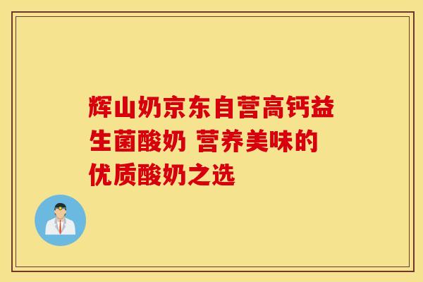 辉山奶京东自营高钙益生菌酸奶 营养美味的优质酸奶之选