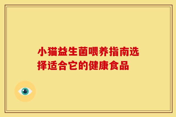小猫益生菌喂养指南选择适合它的健康食品