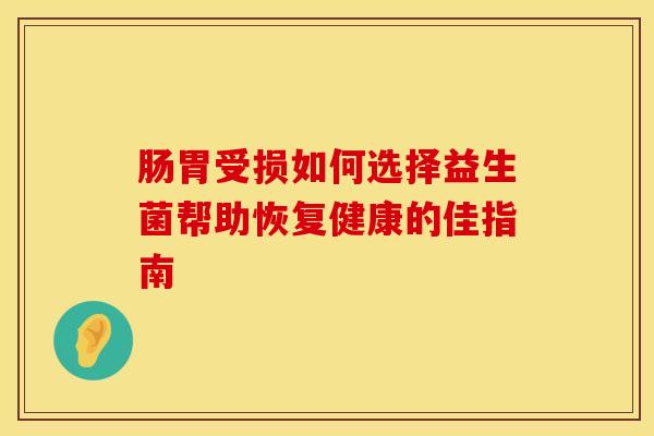 肠胃受损如何选择益生菌帮助恢复健康的佳指南