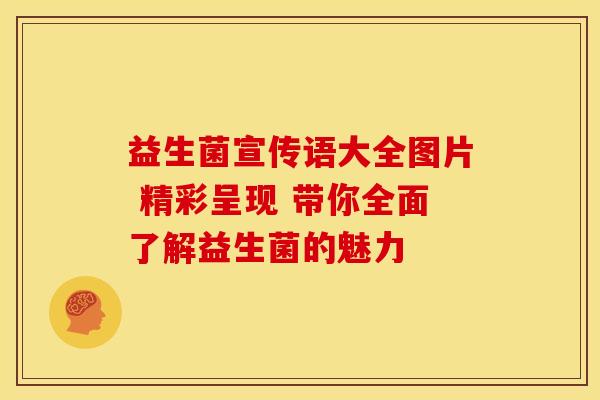 益生菌宣传语大全图片 精彩呈现 带你全面了解益生菌的魅力