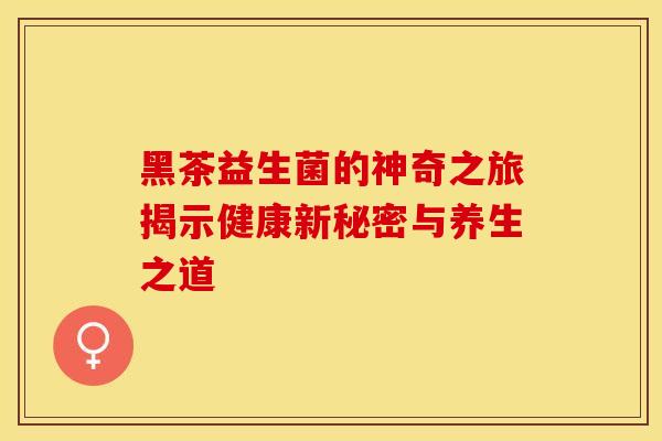 黑茶益生菌的神奇之旅揭示健康新秘密与养生之道