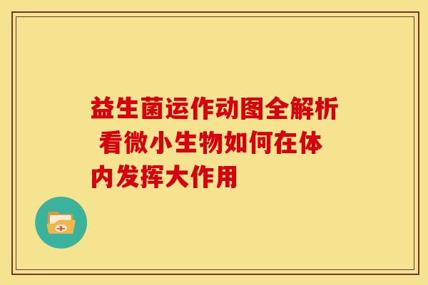 益生菌运作动图全解析 看微小生物如何在体内发挥大作用