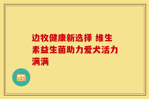 边牧健康新选择 维生素益生菌助力爱犬活力满满