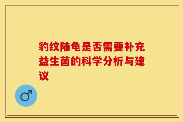 豹纹陆龟是否需要补充益生菌的科学分析与建议