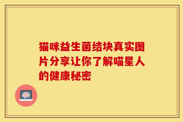 猫咪益生菌结块真实图片分享让你了解喵星人的健康秘密